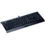 Клавиатура RAZER Cynosa Lite RGB Chroma (RZ03-02741500-R3R1): Интерфейс подключения USB