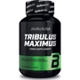 Бустер тестостерона Tribulus Maximus 90 tabs BioTechUSA  Трибулус Максимус