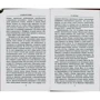 Рудычева, Скляренко, Сядро: Загадки истории. Наполеоновские войны: Количество страниц 379