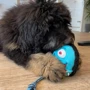 Игрушка для собак Max & Molly Snuggles Toy Bubba King (4894512025745) фото 3