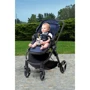 Іграшка музична Chicco Єнот Клауді 2 в 1 (10065.00): Тип подвески