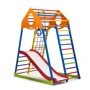 Детский спортивный комплекс SportBaby KindWood Color Plus 1: Производитель SportBaby
