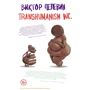 Віктор Пєлєвін: Transhumanism inc.