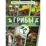 Большая энциклопедия грибника. Съедобные и несъедобные. Собираем и готовим: Производитель АСТ