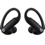 Наушники Beats by Dr. Dre Powerbeats Pro 2 Jet Black (MX723): Тип конструкции вакуумные