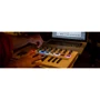 MIDI-клавиатура Arturia Minilab MKII Black Edition + Arturia Analog Lab V фото 9
