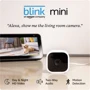 IP-камера відеоспостереження Amazon Blink Mini Indoor Smart Security Camera: Тип корпуса Направленная (мини-камера)