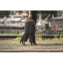 XD Design Bobby Hero Small Backpack Black (P705.701) for MacBook 13-14" фото 9