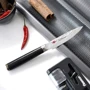 Ніж овочевий Fissman Kojiro 10 см (2563): Рукоятка Композитний скловолокно