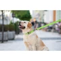 Ошейник WAUDOG Waterproof водостойкий, пряжка крючок 25 мм 35-70 см салатовый (27195): Длина 35-70 см