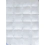Одеяло Billerbeck Магнолия К1 155х215 см (0590-01/05): Размер, см 215x155