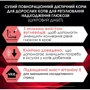 Сухой корм Pro Plan Veterinary Diets DM ST/OX Diabetes Managment для взрослых кошек для регулирования поступления глюкозы 1.5 кг (7613035159822): Класс Супер премиум