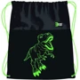 Сумка для взуття St.Right Reflective T-Rex (668029)