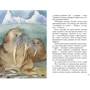 Теффі: Про звірів та людей: ISBN 978-5-9268-3626-1