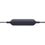 Навушники Panasonic RP-HTX20BGE-K: Призначення для смартфона і плеєра