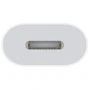 Адаптер Apple Adapter USB-C to Lightning White (MUQX3): Інтерфейс підключення USB-C