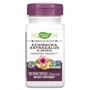 Nature's Way Echinacea Astragalus And Reishi 400 mg Ехінацея Астрагал і Рейша 100 веганських капсул