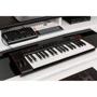 MIDI- клавиатура IK MULTIMEDIA IRIG KEYS 2 PRO: Механика Динамическая