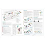 Настольная игра ROZUM Токайдо Tokaido (R012UA) фото 8