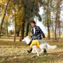 Попона Pet Fashion ROY хаки-горчица 6XL (4823082432806): Обхват груди 82-95 см