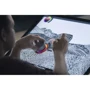 Аксесуар для планшетних ПК Microsoft Surface Dial (2WR-00001) фото 5