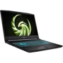 Ноутбук MSI Bravo 15 C7VFKP (C7VFKP-229US): Экран 15.6" IPS (1920x1080) Full HD