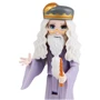 Колекційна лялька WIZARDING WORLD: чарівника Дамблдора (7,6 см) (SM22008-3): Стать Унисекс