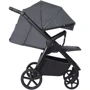 Прогулянковий візок Carrello Bravo Deep Grey (CRL-5520 Deep Grey): Кількість блоків 1