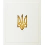 М. С. Грушевський: Ілюстрована історія України (в коробке) фото 17