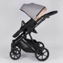 Детская коляска 2 в 1 Expander DEXO D-36086 (1) Camel: Количество блоков 2