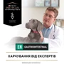 Сухой корм для собак Pro Plan Veterinary Diets EN Болезни ЖКТ 12 кг (7613035152861) фото 8