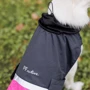 Попона Pet Fashion ROY малиново-сіра 2XL (4823082432912): Розмір 2XL
