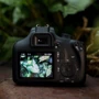 Canon EOS 4000D Body: Тип матрицы CMOS