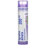 Boiron, Single Remedies Ignatia Amara 200CK Игнатия Анара около 80 гранул