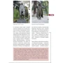 Артем Синцов: Грузия пешком. Самые интересные прогулки по Грузии: ISBN 978-5-04-090136-4