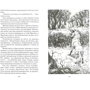 Эрин Хантер: Коты-воители. Нерассказанные истории. История Остролистой фото 8