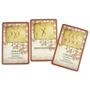 Настольная игра Ігромаг Салем 1692 (Salem 1692) (igromag_8586): Вид карточные
