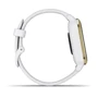 Смарт-часы Garmin Venu SQ White/Light Gold (010-02427-01/11): Совместимые ОС Android / iOS
