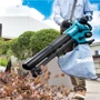 Садовий пилосос-повітродувка Makita DUB187T001: Режими роботи всасывание