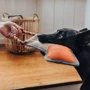 Іграшка для собак Hunter Tough Pombas Arrow Стріла 35 см: Виробник Hunter