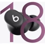 Наушники Beats by Dr. Dre Solo Buds Matte Black (MUVW3): Время работы, ч 18