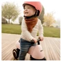 Беговел детский Hauck 1st Ride Four Matt Blue (80401-2): Производитель Hauck