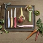 Набор кухонных ножей Victorinox SwissClassic Paring Set 3 пр. (6.7116.34L2): Наименование Набор кухонных ножей 3 пр.