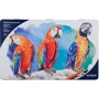 Олівці кольорові акварельні Kite K18-1054, мет. пенал, 36 шт.