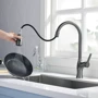 Смеситель для кухни Lefton Copper Kitchen Pull-Down Faucet with 3 Water Outlet Modes-KF2203 Grey: Тип излива выдвигающийся излив