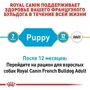 Сухой корм Royal Canin French Bulldog Puppy для щенков французского бульдога 3 кг (3990030): Порода Индивидуально для породы