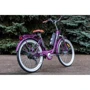 Электровелосипед VEGA Family S (Purple): Вес устройства, кг 25