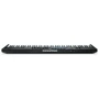 MIDI клавиатура NOVATION Launchkey 88 Mk3: Механика Динамическая
