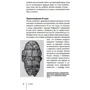 Ким Фарнелл: И-цзин. Гадания по "Книге перемен": Автор Ким Фарнелл