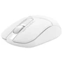 Мышь A4Tech Fstyler FG12 White: Тип сенсора оптический